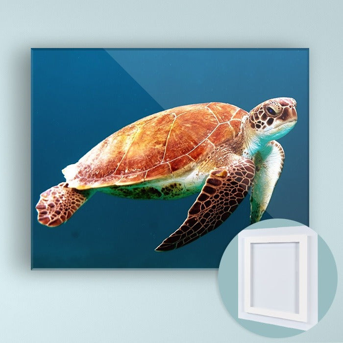 Acrylic Landscape Prints