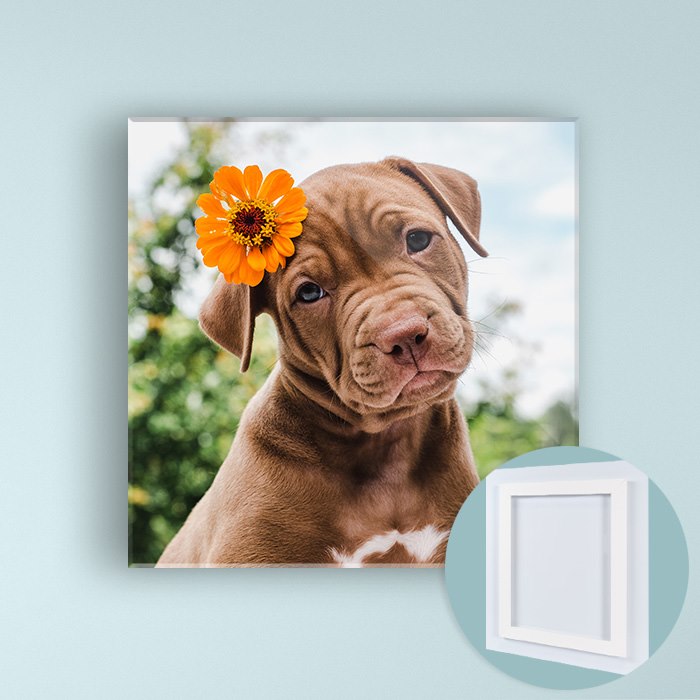 Acrylic Square Print