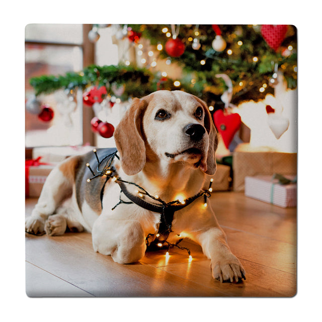 Soapstone Coasters. (set of 4)